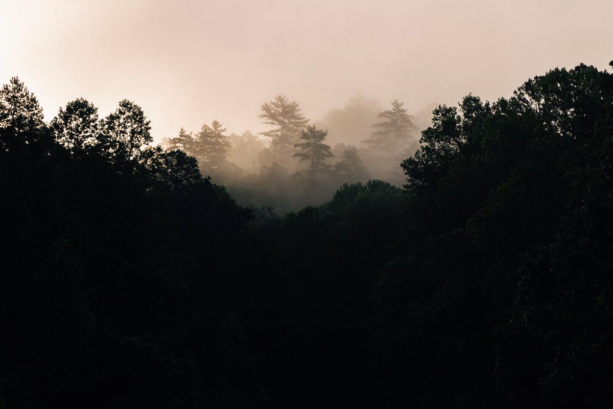 J_Reeves15's tweet image. Some photos I took in the upper corners of SC & GA today. My absolute favorite type of days