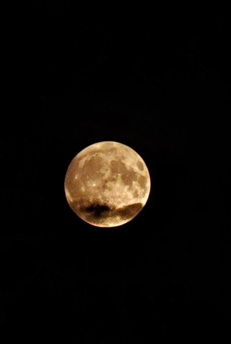 Took this yesterday 

Thought it looked neat 

🌝