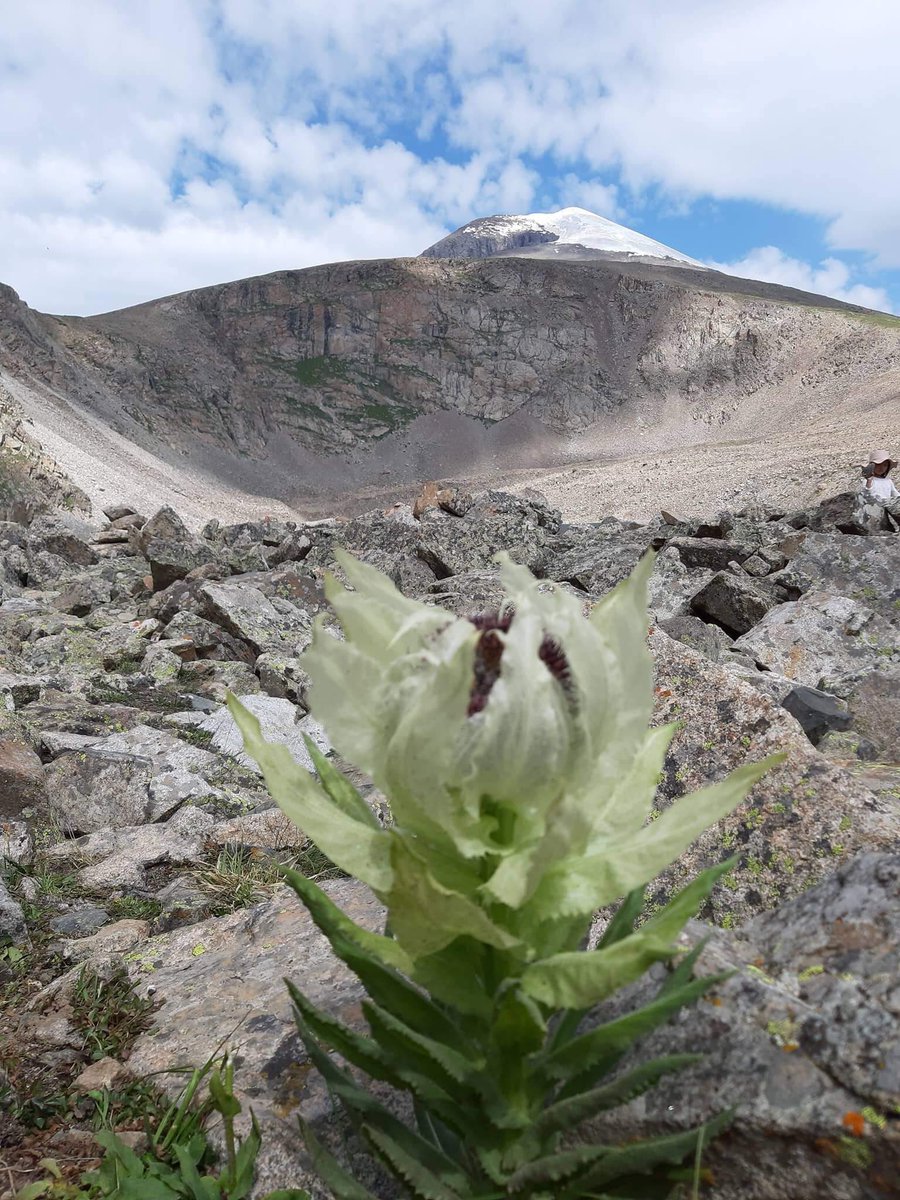Амьдрал бол бэлэг, энэ нь илүү сайн болохын тулд ямар нэгэн зүйлийг бусдад буцааж өгөх давуу эрх, боломж, хариуцлагыг санал болгодог…🫰🥰
Өглөөний мэндээ жиргээ! 🫶
🇲🇳 Сайхан наадаарай! 🇲🇳