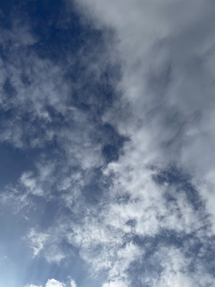 おはようございます🥱
毎日のように夏日…暑い🌞
今日は7月11日という事でセブン-イレブンの日ですかね。お世話になってます😌
そして週末の金曜日です…1週間お疲れ様です😌

1ヶ月後は推しの生誕祭で今頃は移動中かな🚄

さぁ今日も一日頑張って生きよう✊