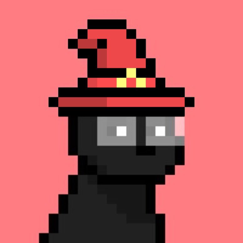 The wizards are moving 👀