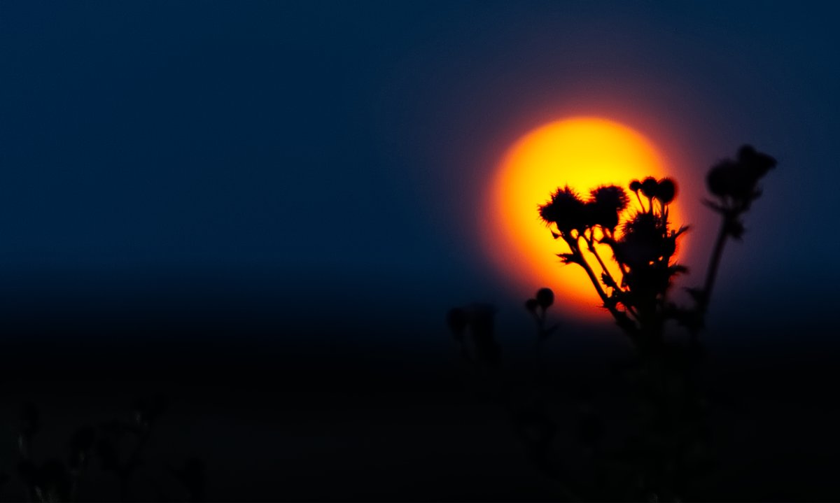 I__J__W's tweet image. This evenings full Buck Moon #fullmoon #scotlandtonight