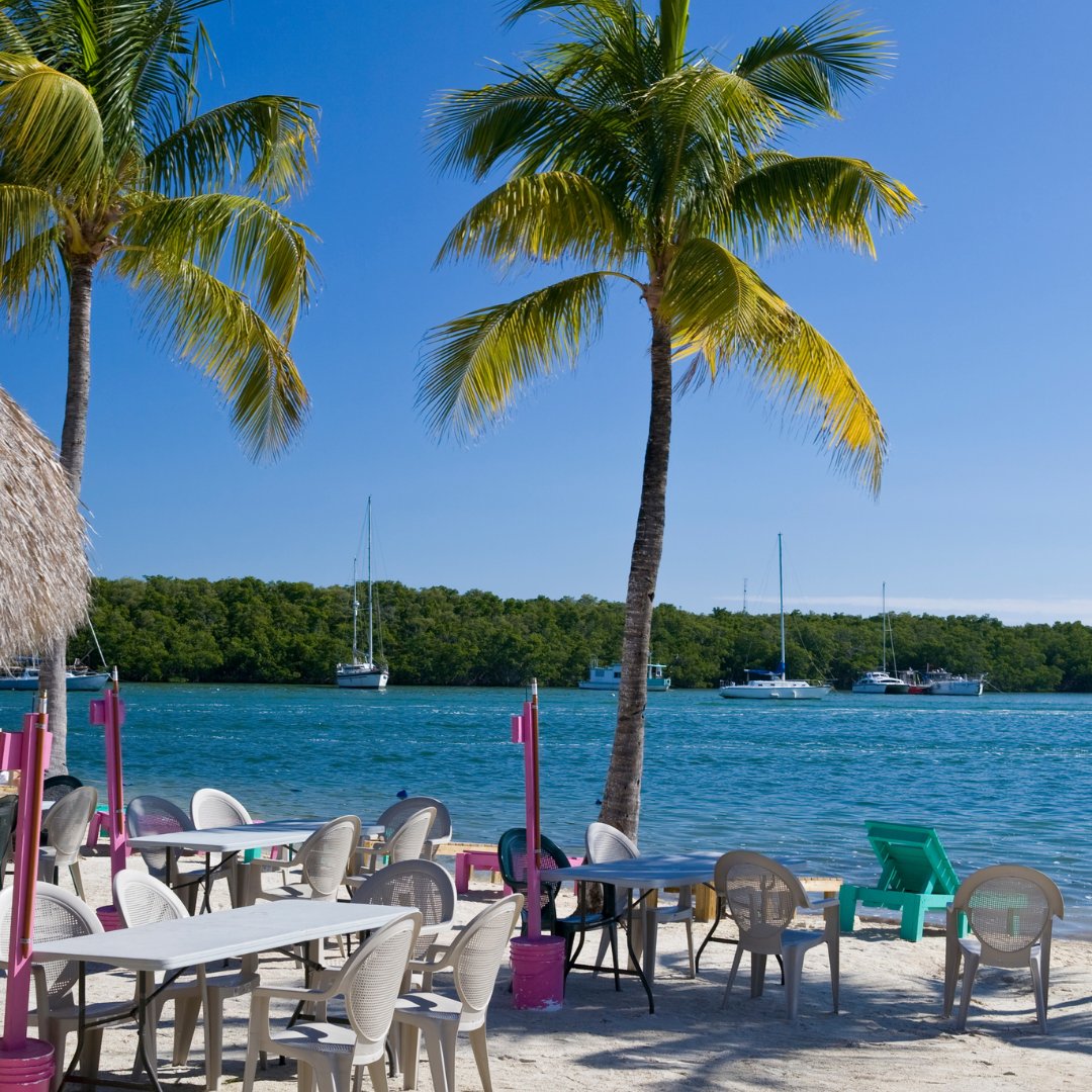 PartyInKeyWest's tweet photo. Spending some time up "north" (Key Largo lol) and it is not bad. #keylargo #keywest #upperkeys
More: https://t.co/QtRb8xssq5
Follow us: @PartyInKeyWest
Hashtag us: #PartyInKeyWest https://t.co/IUXOCubaI5