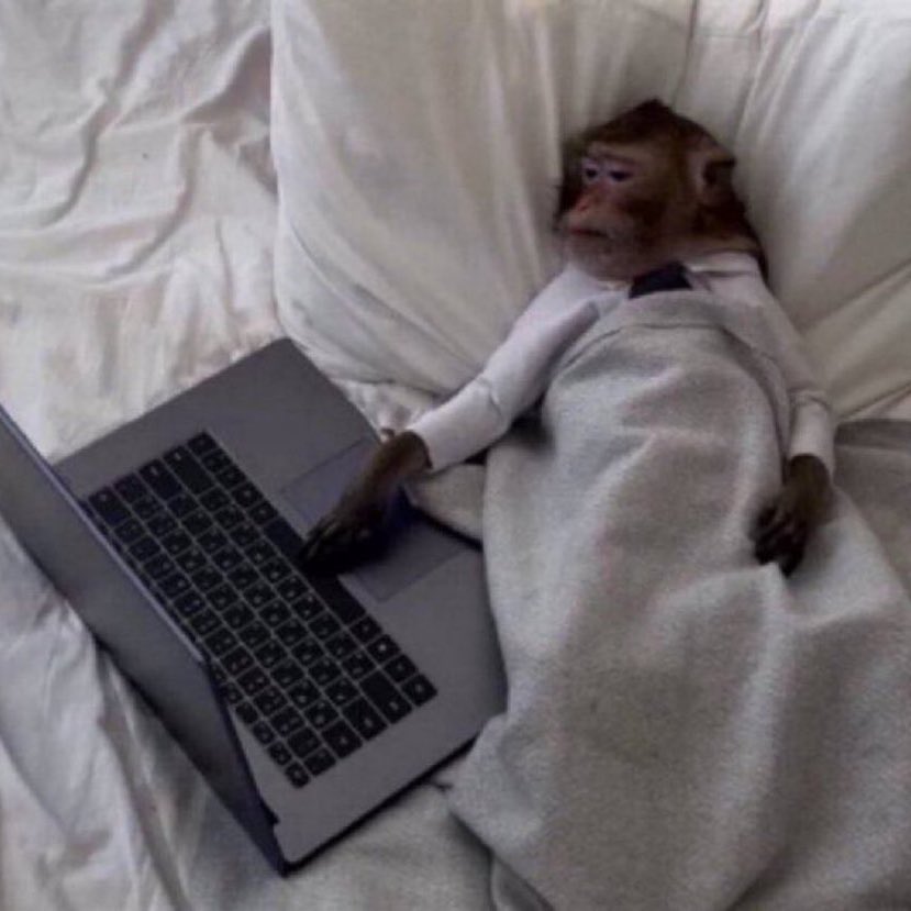 Me checking the prices today