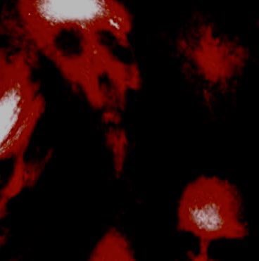 ͏ ͏ ͏𝕿 ʰ ᵉ🩸͏𝕽𝑰𝑻𝓤𝐀𝓵͏ ͏꒷꒦ ͏𝓖 𝕴𝑹 𝓵͏ ͏ ͏.ᐟ tweet media