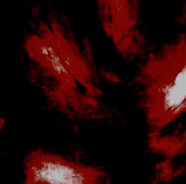 ͏ ͏ ͏𝕿 ʰ ᵉ🩸͏𝕽𝑰𝑻𝓤𝐀𝓵͏ ͏꒷꒦ ͏𝓖 𝕴𝑹 𝓵͏ ͏ ͏.ᐟ tweet media