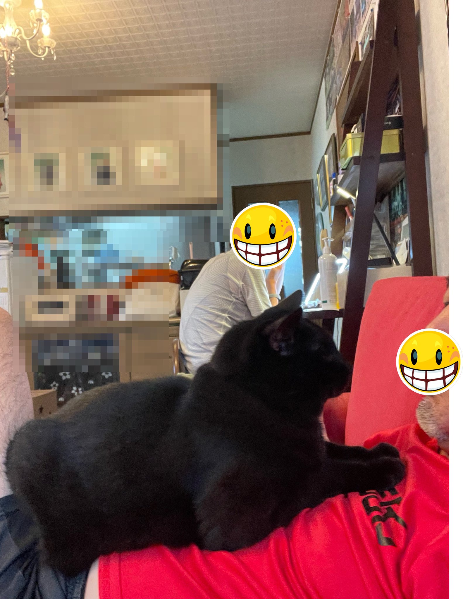黒猫大好き zizichin@黒猫大好き on X: 