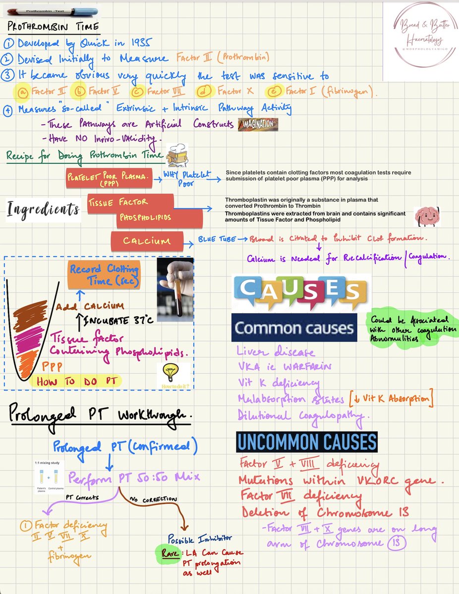 👇👇Everything You ever Want to Know about Prothrombin Time ( PT) 
#medicine #hematology #medtwitter #blooducation