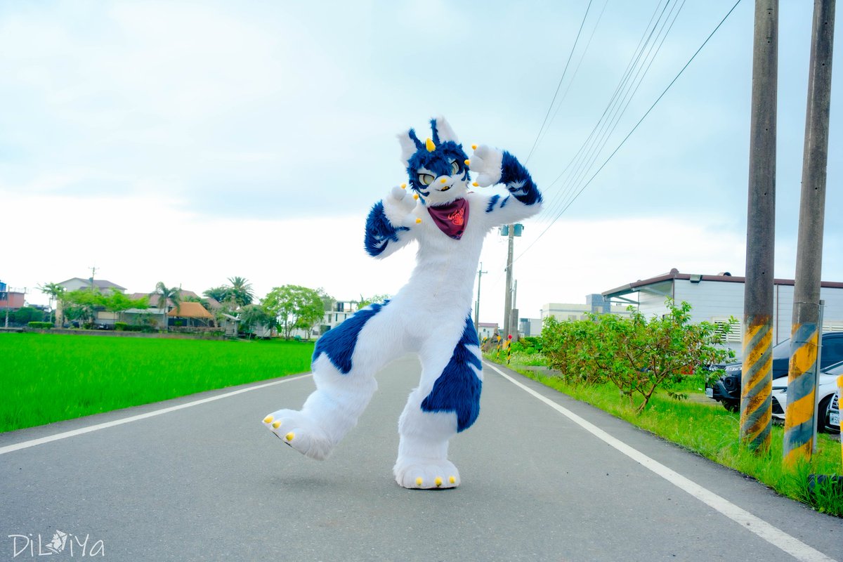 華(Hua) tweet media