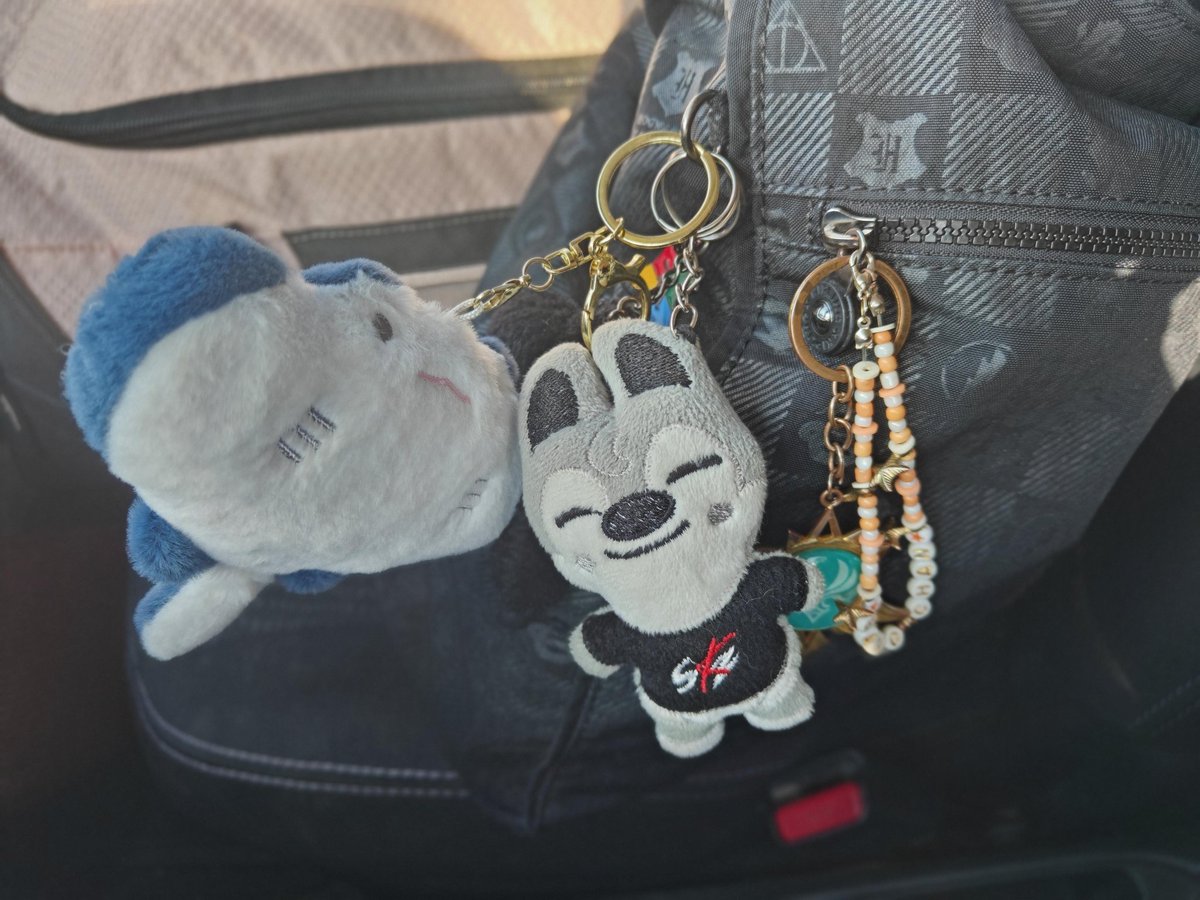 Momotsuji's tweet photo. My bag keychains (⁠｡⁠ﾉ⁠ω⁠＼⁠｡⁠)💕 #Stingray #WolfChan #AnemoVision #HarryPotter https://t.co/w1pqBKlW1E