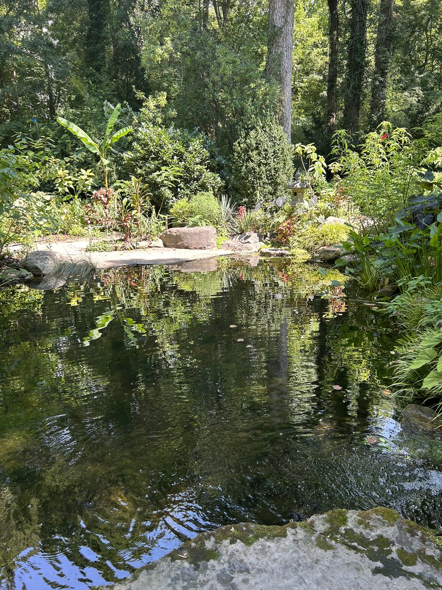 Madelyn Ferrari tweet media