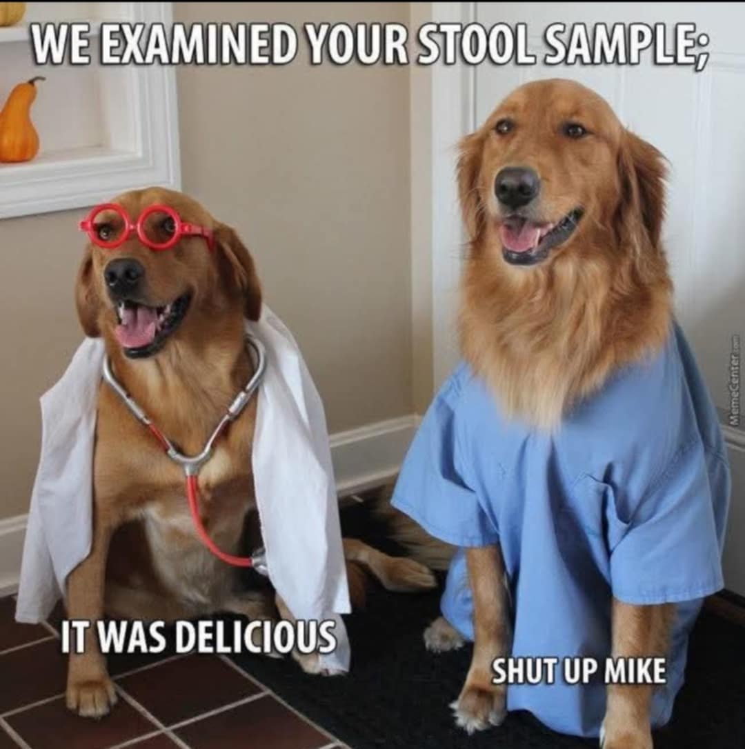 woof woof 💩💩