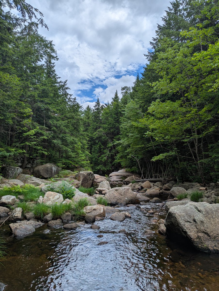 The GRC Microbial Population Biology in New Hampshire was a wonderful opportunity for me to meet great scientists, hear about progress in microbiology research and present my work in a poster session. Big thanks to the chairs Prof. Christina L. Burch and Prof. Rees M. Kassen!