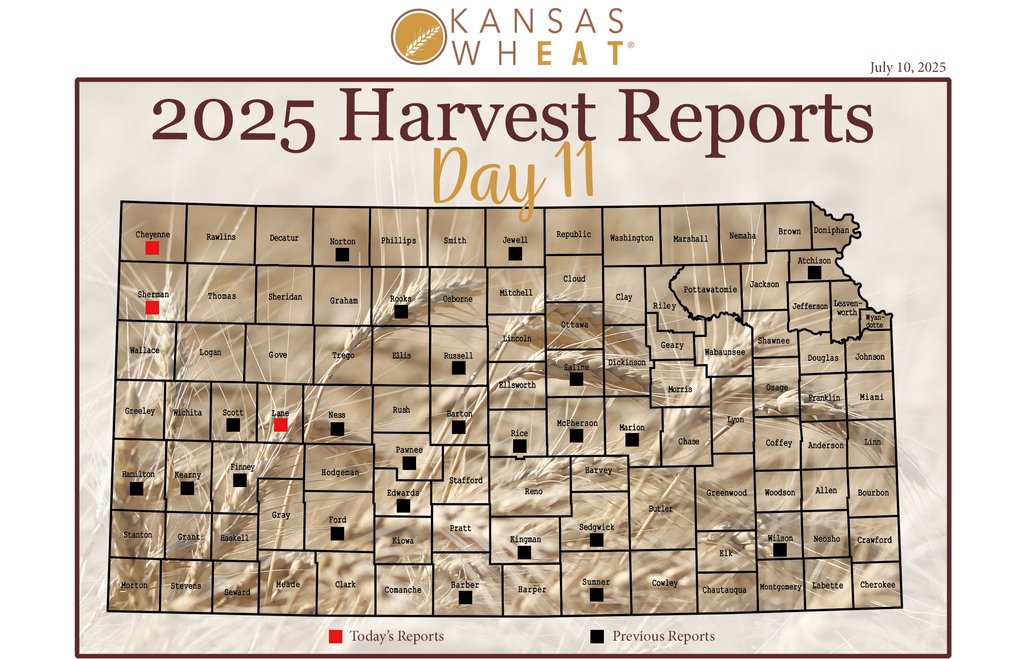 Wheat harvest continues! Yields vary, but harvest progress is nearly complete. #wheatharvest25 #KansasWheat

kswheat.com/harvest11