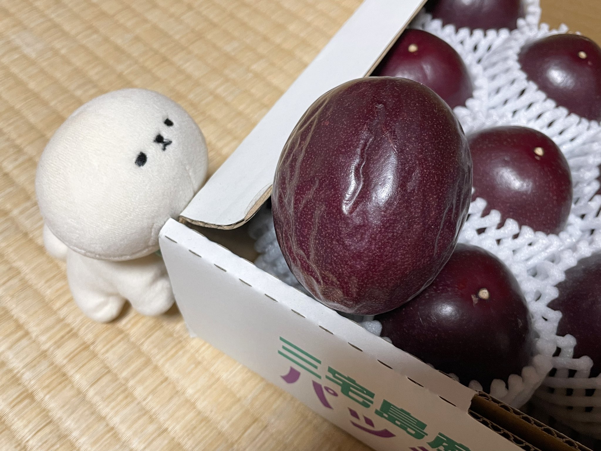 かっちゃん様☆L玉8.0kg+規格外1.0kg パッションフルーツ かっちゃん様☆L玉8.0kg+規格外1.0kg パッションフルーツ