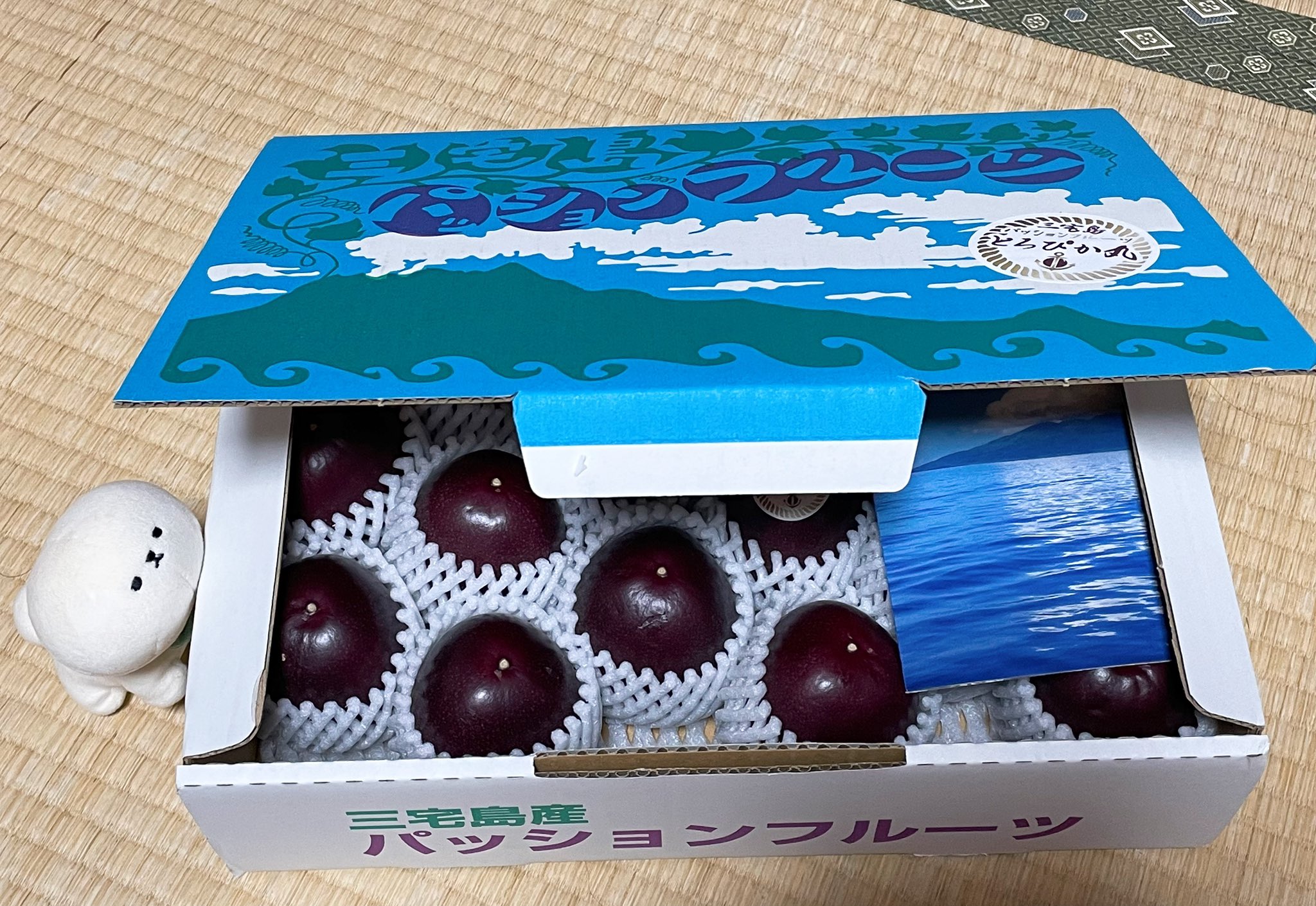 キズシワM玉　5.0kg+規格外1.0kg パッションフルーツ 種子島産パッションフルーツ小玉20玉入り③ - メルカリ