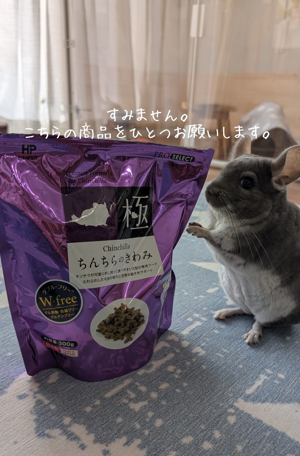 sさま　チンチラちゃん　専用のおやつ チンチラのふわちゃん on X: 