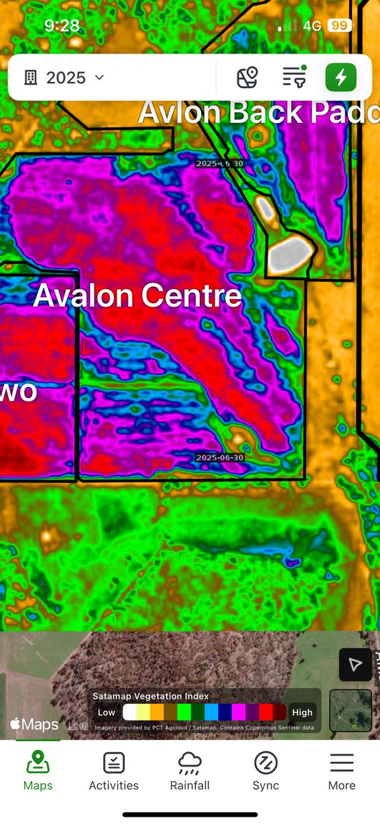 Nev Reilly tweet media