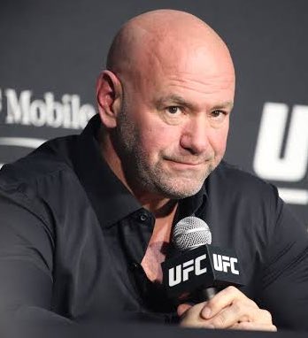 デイナ、マカチェフ×トプリアについて📝 「マカチェフが（ウェルター級