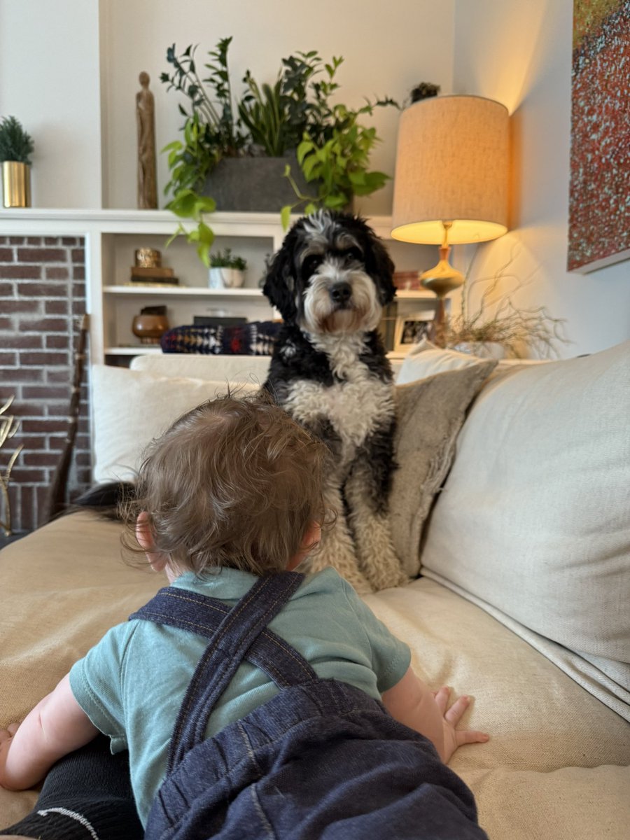 Louie is not quite ready for this baby to crawl.