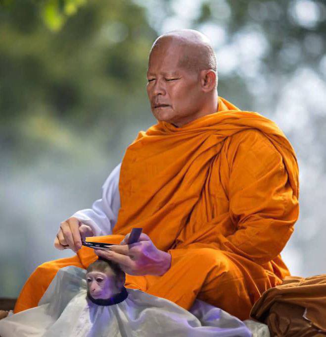 <a href="/blknoiz06/">Ansem</a> monk mode 👍