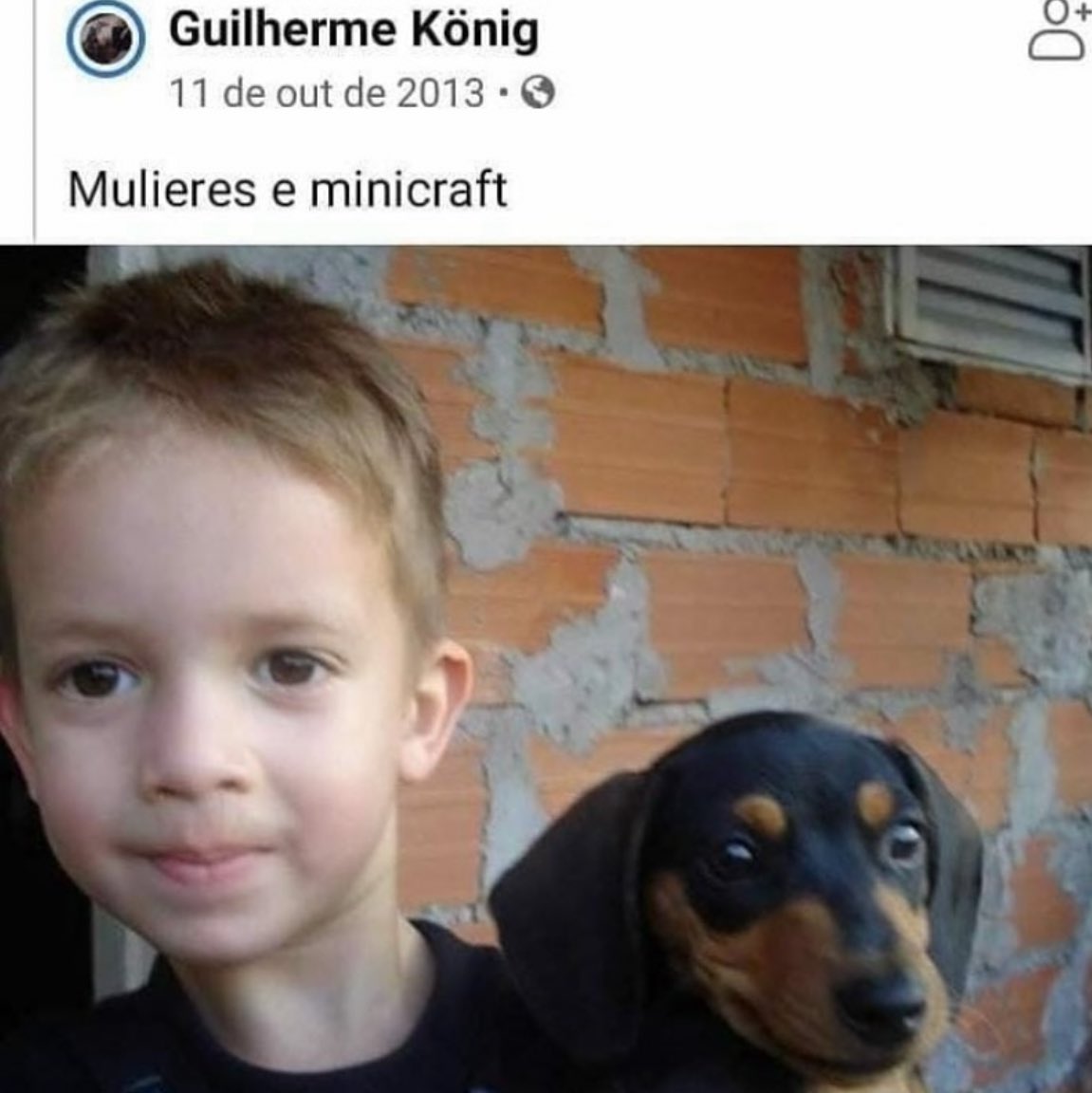 cachorrocore's tweet image. 
