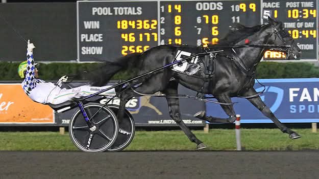 TR_Harness's tweet image. 𝗤𝗨𝗘𝗦𝗧 𝗙𝗢𝗥 𝟳 🏆
2️⃣0️⃣2️⃣3️⃣ Confederate [ Sweet Lou-Geothermal] $668,000 @TheMeadowlands Pace for Trainer Brett Pelling, Owner Diamond Creek Racing - PA, Breeder @DiamondCreekKY  - PA.

#TetrickRacing #PlayBigM #Pace25