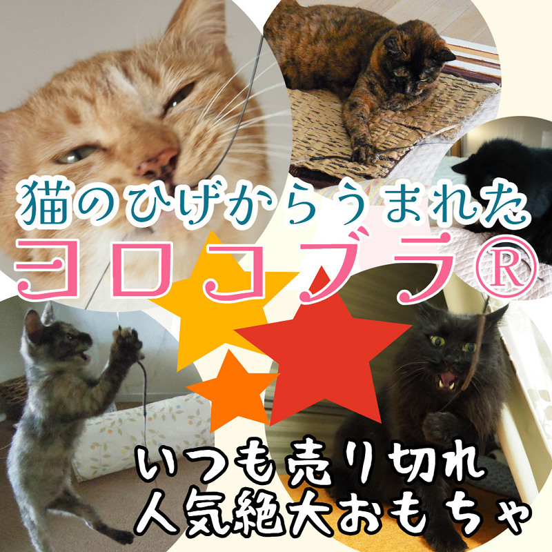 Seiyu_Japan's tweet photo. ／
7月13日(日)LIVIN光が丘祭から、一部のイベントのご紹介💁‍♀️
＼
2階自転車売場前の入口付近にて、猫の家のおもちゃ店頭販売を実施します🐈
大人気の #ヨロコブラのひげ など、実際に現物を見て店頭でご購入できる数少ない機会です！
ぜひLIVIN光が丘店へお越しください✨ https://t.co/QyHHHM8tNO