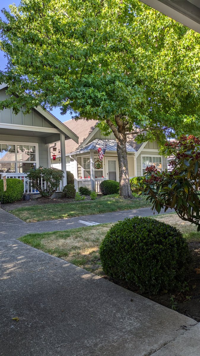 Snapshot📷 of the best moment of my day happening right now. Sitting on the front porch relaxing, and listening to the #Mariners game⚾

#MLB <a href="/Mariners/">Seattle Mariners</a>
