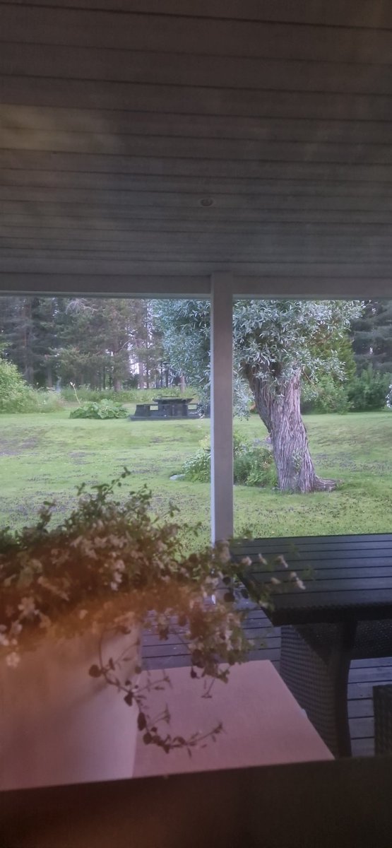 Kl är snart 02 på natten i norr .