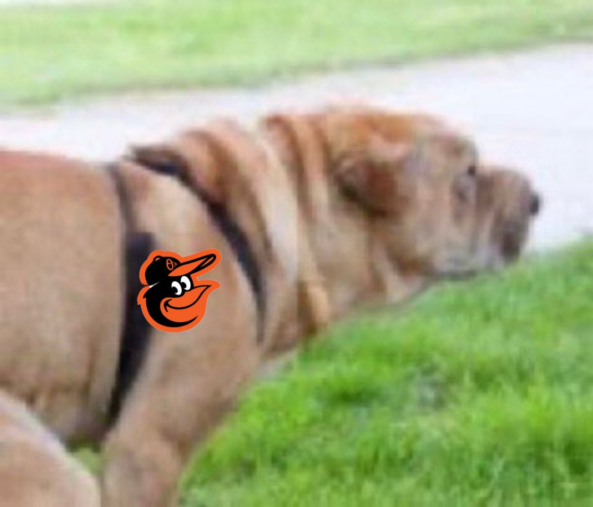 philscentral_'s tweet photo. Look who just shit on the Mets lol https://t.co/PtDzDKbFXH