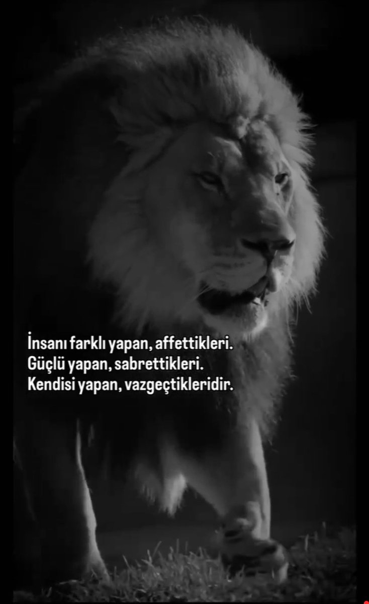 #VESSELÂM   🇹🇷  💙  🇹🇷