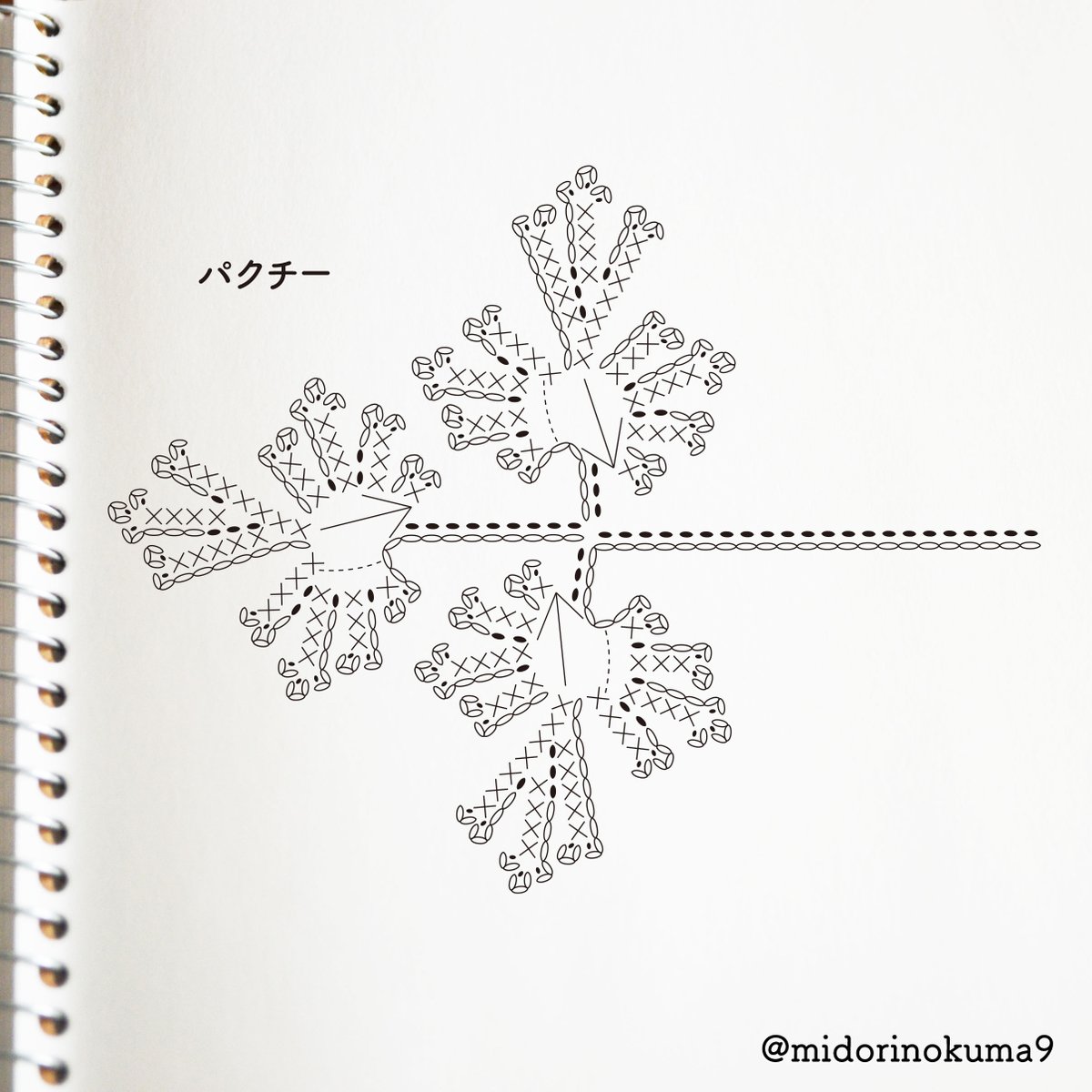 今日はパクチーの日だそうです

パクチー