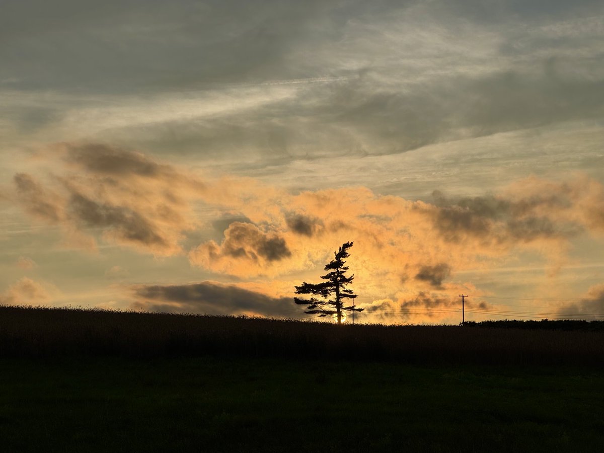 Lone Pine sunset. 

#Middlefield