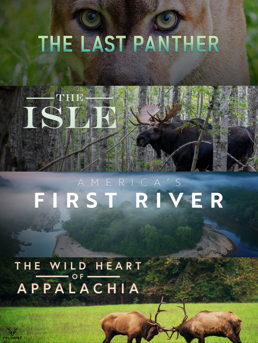 xploristsociety's tweet image. Another slate of projects for you guys to get excited about.