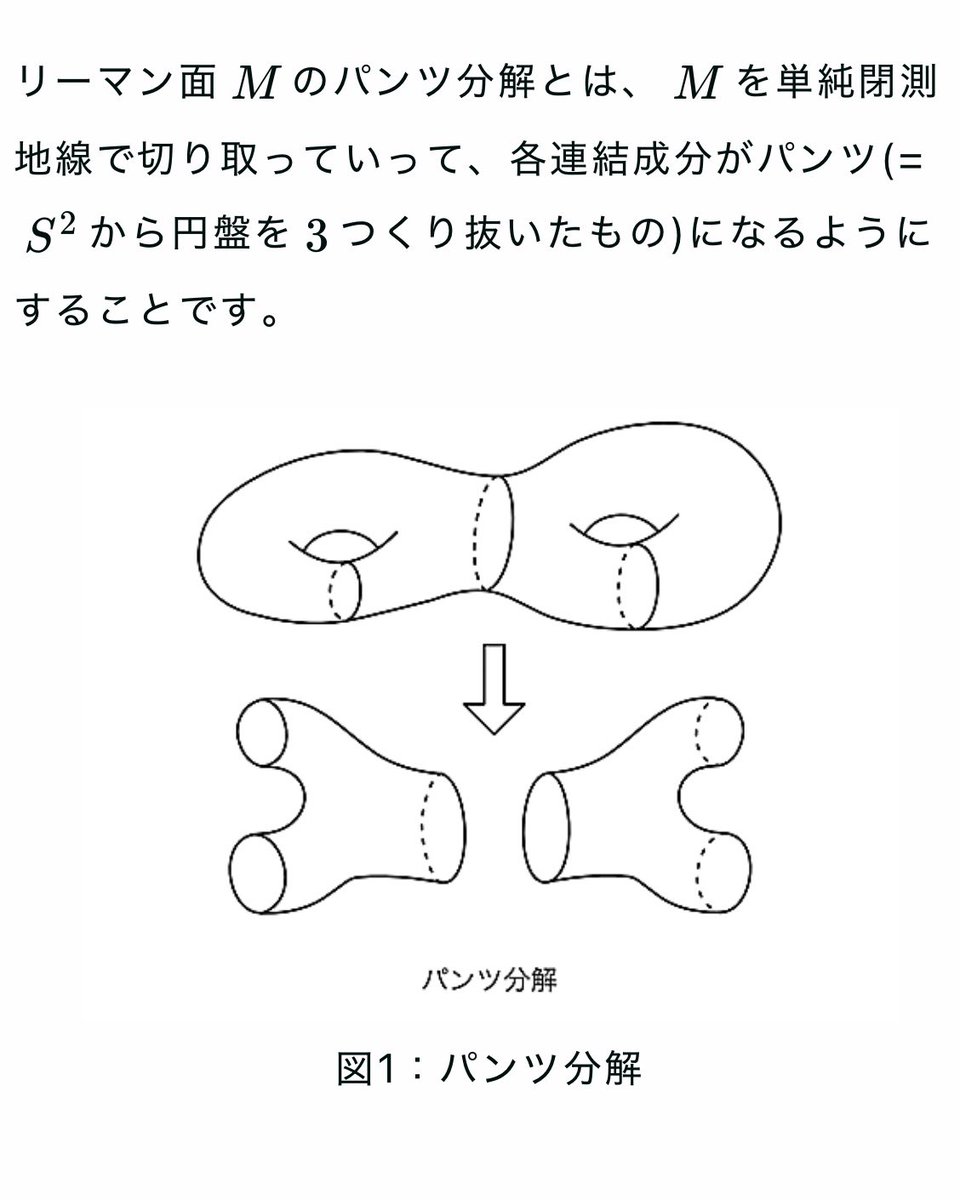 iwaking83's tweet image. こんな概念が存在したなんて😆😆😆

#曲面 #パンツ分解 #双曲幾何 #リーマン面 #位相幾何