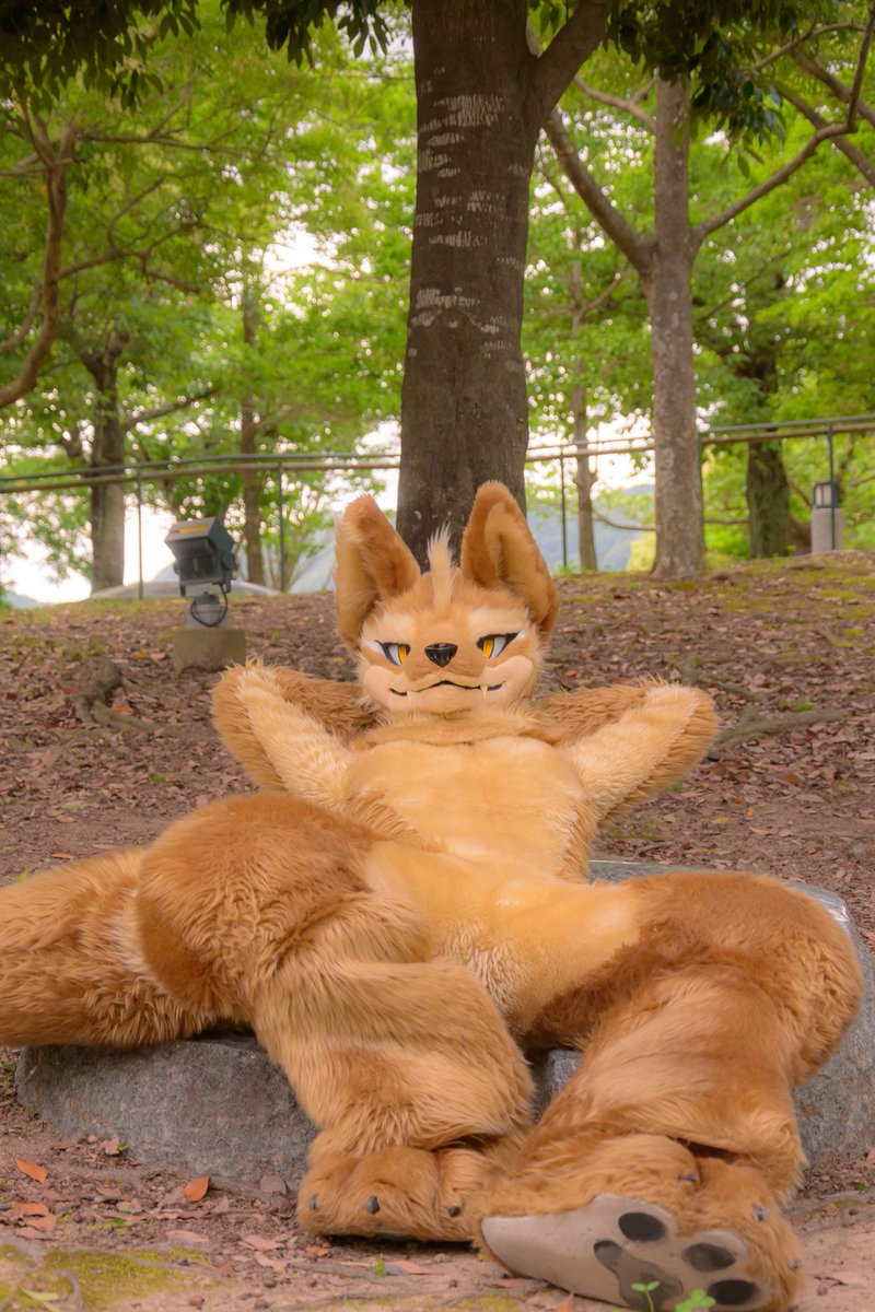 #FursuitFriday
森林浴🐺✨