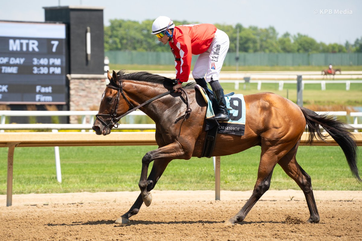 Breakway Farm (@breakwayfarm) on Twitter photo MACKADOO earned his first stakes-placing in the Snack Handicap at <a href="/HSIndyRacing/">Horseshoe Indianapolis Race Course</a>! The HARRY'S HOLIDAY colt came just a head short of winning the one mile turf event.
Mackadoo was bred by Justice Farm & races for Jerry Romans, Jr. & Tagg Team Racing. <a href="/Foley_Racing/">Foley Racing</a> trains. 💪 MACKADOO earned his first stakes-placing in the Snack Handicap at <a href="/HSIndyRacing/">Horseshoe Indianapolis Race Course</a>! The HARRY'S HOLIDAY colt came just a head short of winning the one mile turf event.
Mackadoo was bred by Justice Farm & races for Jerry Romans, Jr. & Tagg Team Racing. <a href="/Foley_Racing/">Foley Racing</a> trains. 💪