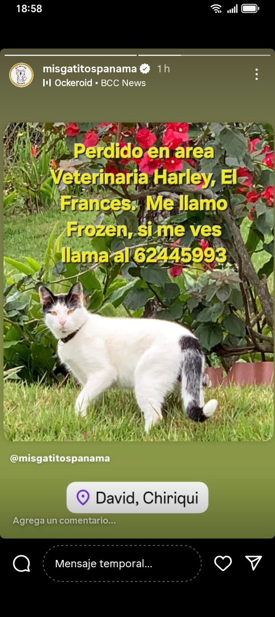 <a href="/labigottes/">Clubdegatospanama, Labigotes y colita</a> <a href="/4patitaschi/">4patitasChiriqui</a> <a href="/sarat1165/">Sara Rugliancich</a> <a href="/SeferinaMelgar/">Seferina Melgar</a> <a href="/edithfirst22/">Mélida 🌺🐾💐</a> <a href="/dayra_icaza/">dayra icaza</a> <a href="/fundasispma/">Fundación San Francisco de Asís ( FUNDASIS )</a> <a href="/ivetteodalys/">Ivette Berrio</a> <a href="/heramito/">Yira Lopez De Leon</a> <a href="/LP19732/">LP1973</a> <a href="/PatasyPies/">Patas y Pies</a> <a href="/PatasPanama/">Patas Panama</a> <a href="/corazonconhuell/">Corazon Con Huellas</a> <a href="/mascotaspanama/">mascotas panama</a>