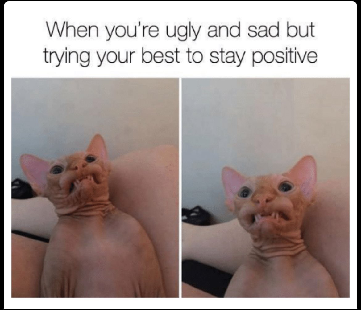 Protecting the Blue (@protectingblue) on Twitter photo 