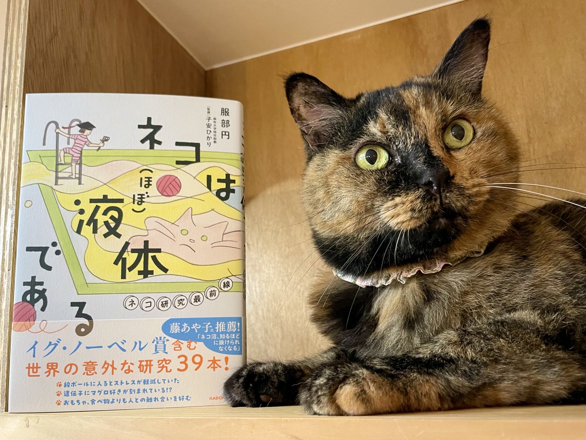 キャッツミャウブックス® (@CatsMeowBooks) / X