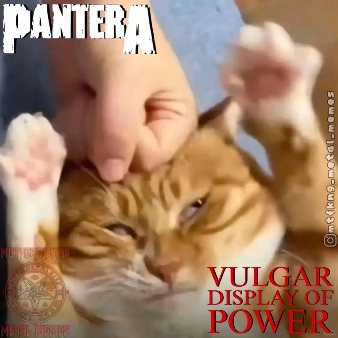 Walk pantera meme (86) 사진