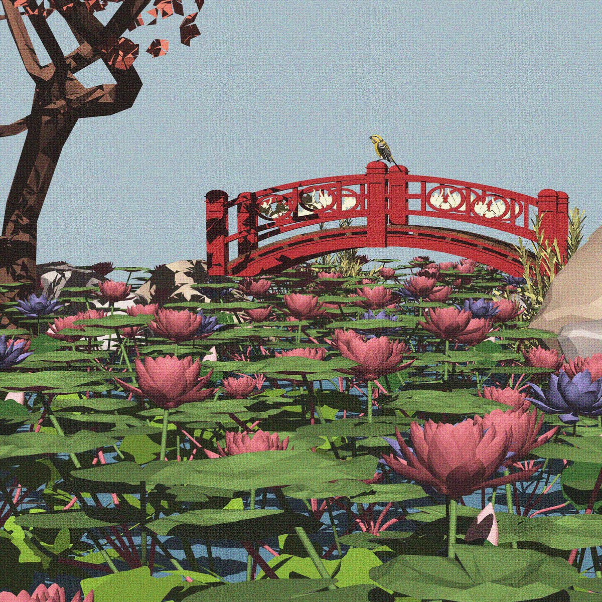 lotus pond