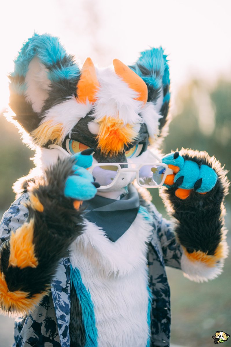 等温度下来了，还想多拍拍外景w
📷：白白记得带卡
#furry #FursuitFriday