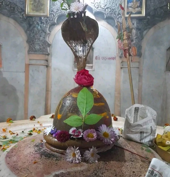 सभी शिव भक्तों को आज से शुरू होने वाले पवित्र श्रावण मास की शुभकामनाएं 
हर हर महादेव 🚩🚩🚩🚩