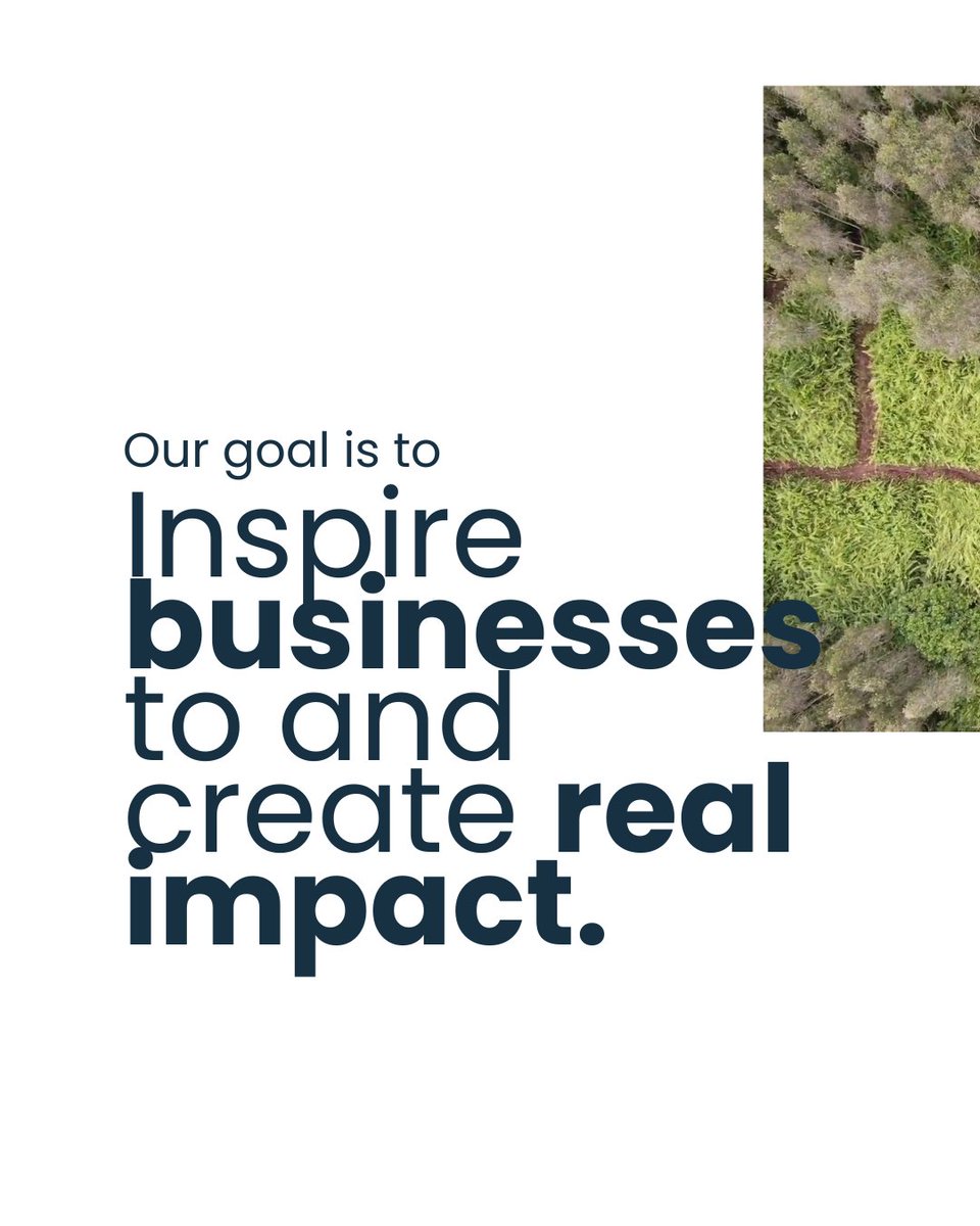 Everclime tweet media