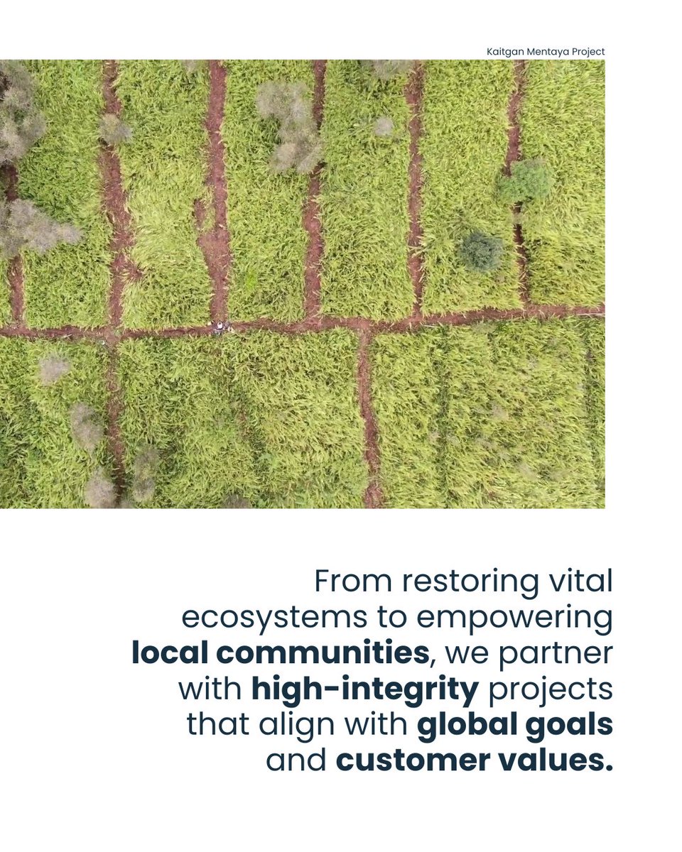 Everclime tweet media