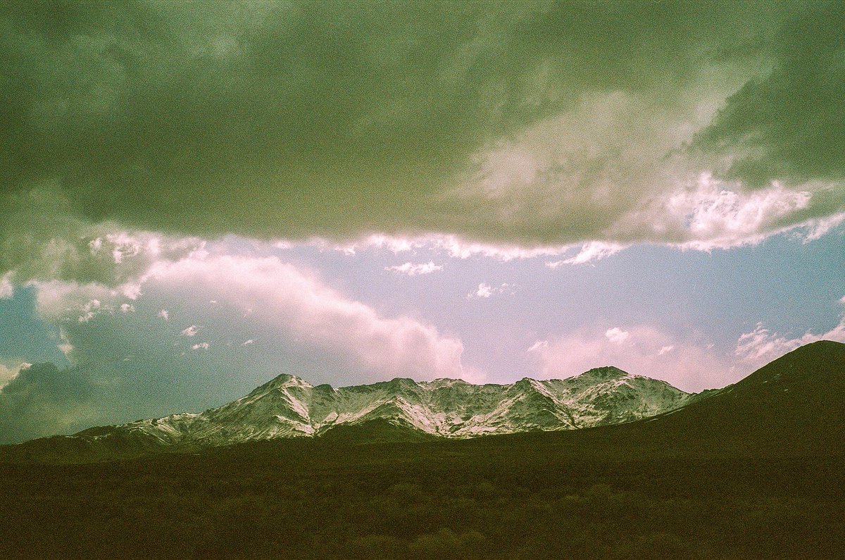 sean flanigan tweet media