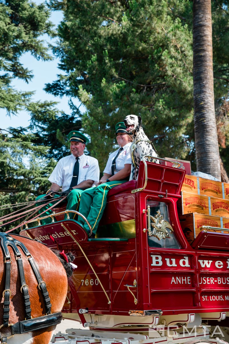 cmta's tweet image. The @Budweiser Clydesdales made a stop at the State Capitol today, as part of their national tour raising funds for veteran families.🇺🇸 Thank you to CMTA member @AnheuserBusch and Budweiser for giving back to communities across the U.S.!