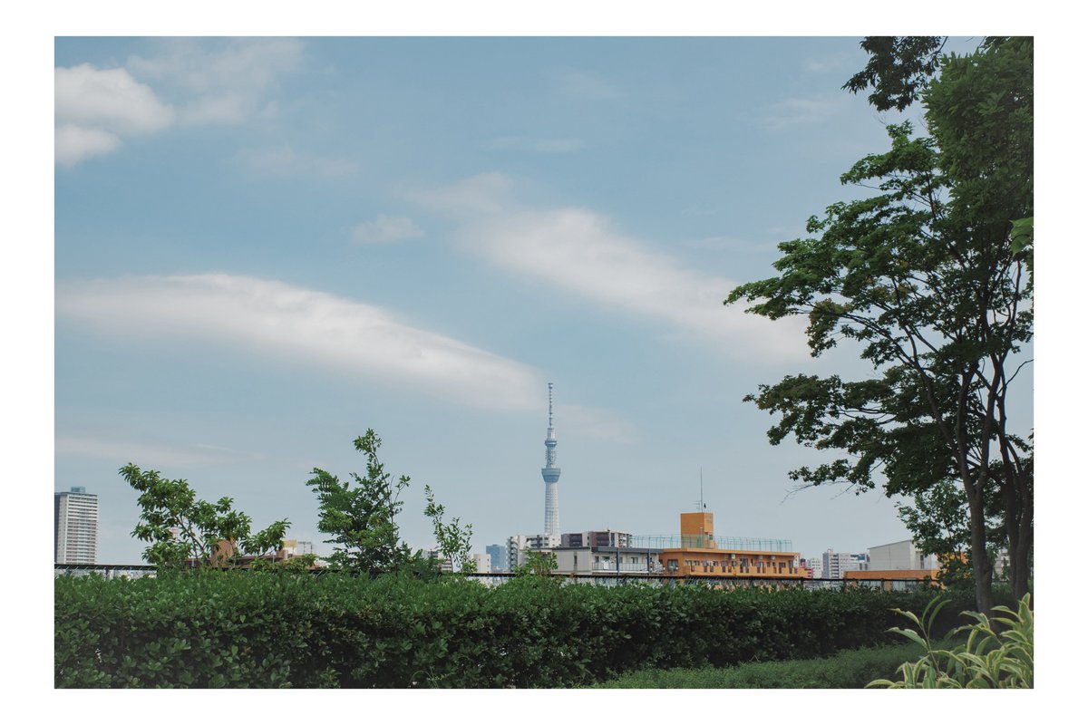 ph_classica's tweet image. 近所でも知らない場所は楽しい

#都市風景